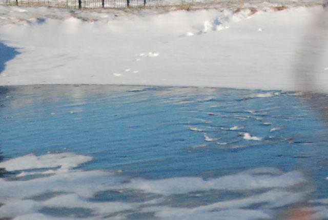 Iced over pond